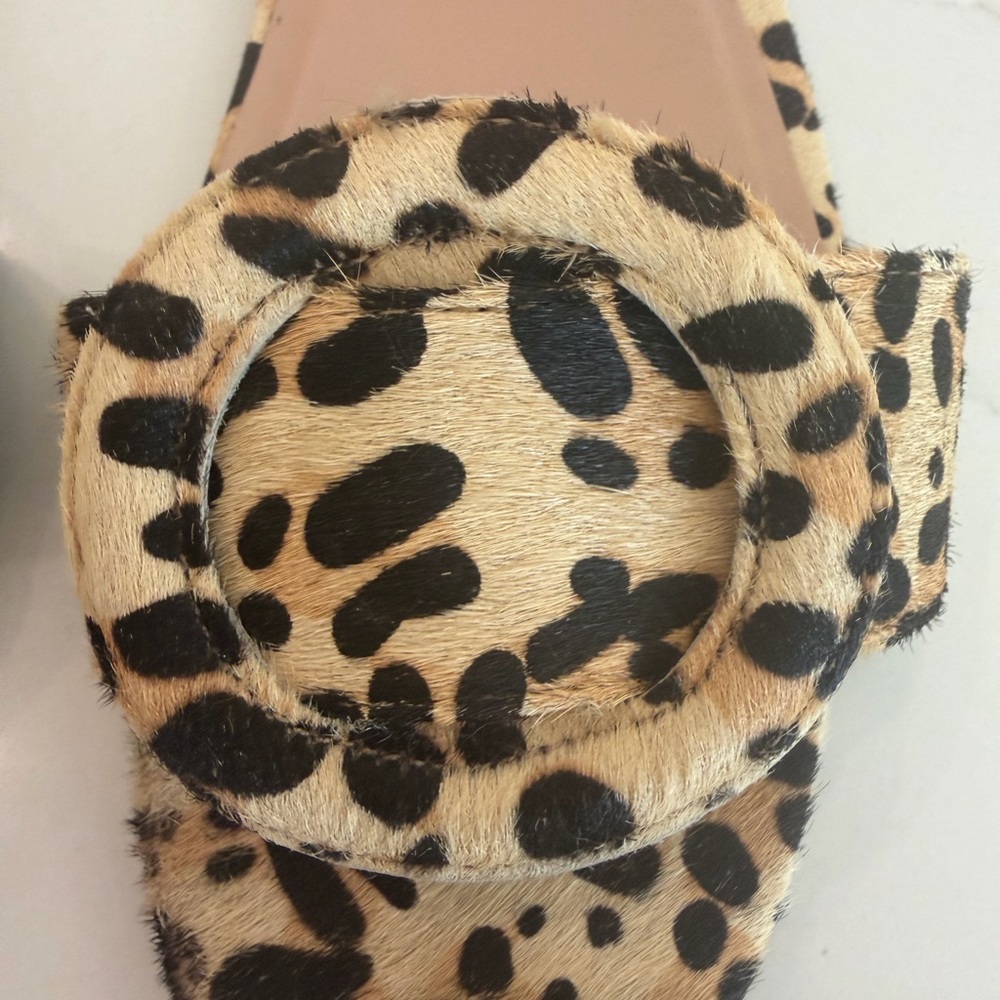 Tony Bianco Persia Leopard Print Flat Sandal - Picture 6 of 15